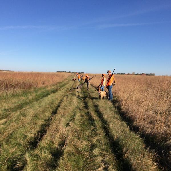 Public Hunting on Brown County WMA